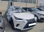 Lexus (P) LEXUS NX 300H 2494 cc  197 CV 